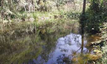 Imagem 2: Chácara à venda em Juquitiba/SP, com fácil acesso e boa localização