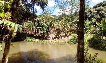 Imagem 4: Chácara com área de bosque e ótima topografia à venda em Juquitiba - SP