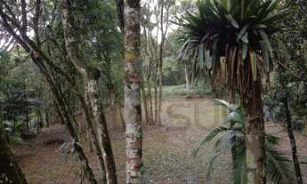Imagem 6: Terreno em excelente localização, a 1500 metros do centro de Juquitiba