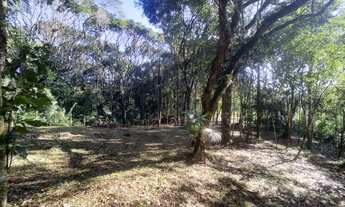 Imagem 5: Terreno em excelente localização, a 1500 metros do centro de Juquitiba