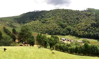 Imagem: FAZENDA À VENDA EM JUQUITIBA Fazenda à
