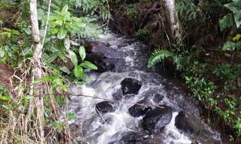 Imagem 3: Chácara à venda em São Lourenço da Serra / SP