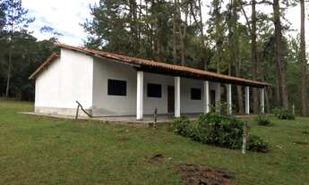 Imagem 2: Sitio rico em água, ideal para criação de animais, com aproximadamente 2,5 alqueires em pa