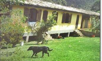 Imagem 3: Sitio para investidores em excelente localização à venda em Juquitiba /SP