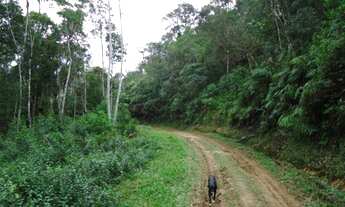 Imagem 5: Sitio com ótima topografia à venda Juquitiba / SP