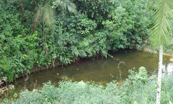 Imagem 4: Sitio com ótima topografia à venda Juquitiba / SP