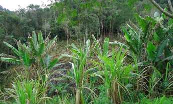 Imagem 6: Sitio com ótima topografia à venda Juquitiba / SP