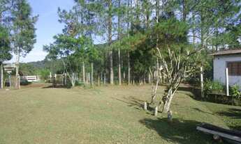 Imagem 2: Sítio com topografia 100% plana e aproveitável, rico em água e riacho com água cristalina