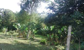 Imagem 7: Sítio com topografia 100% plana e aproveitável, rico em água e riacho com água cristalina