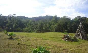 Imagem 4: Sítio com topografia 100% plana e aproveitável, rico em água e riacho com água cristalina