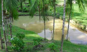 Imagem 2: Chácara à venda em Juquitiba / SP com excelente topografia