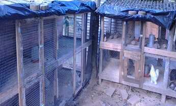 Imagem 4: Chácara ideal para moradia e lazer com excelente topografia à venda em Juquitiba / SP