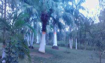 Imagem 6: Chácara ideal para moradia e lazer com excelente topografia à venda em Juquitiba / SP