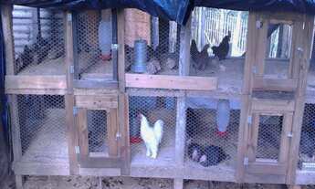 Imagem 3: Chácara ideal para moradia e lazer com excelente topografia à venda em Juquitiba / SP