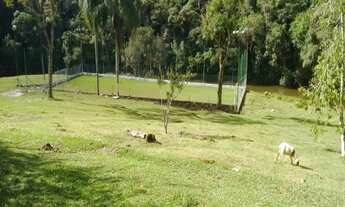 Imagem: Excelente sítio, com ótima topografia