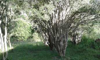 Imagem 3: Fazenda à venda em MIRACATU; imóvel à venda em MIRACATU