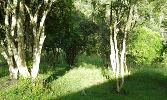 Imagem 4: Fazenda à venda em MIRACATU; imóvel à venda em MIRACATU