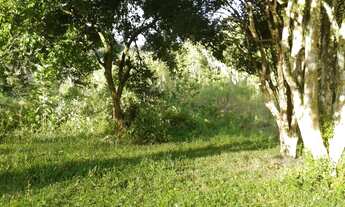 Imagem 5: Fazenda à venda em MIRACATU; imóvel à venda em MIRACATU