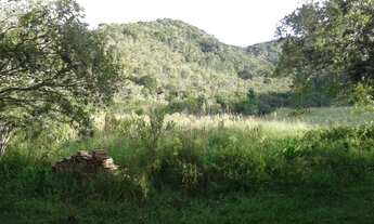 Imagem 6: Fazenda à venda em MIRACATU; imóvel à venda em MIRACATU
