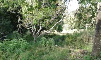 Imagem 7: Fazenda à venda em MIRACATU; imóvel à venda em MIRACATU