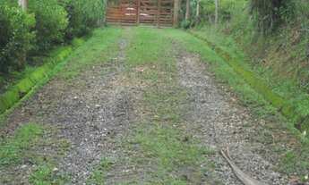 Imagem 4: Excelente sítio rico em água com nascente própria e ótimo acesso e localização à venda em