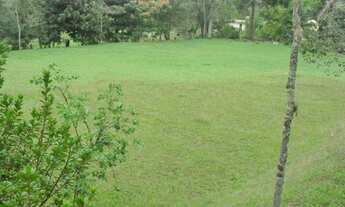 Imagem 6: Excelente sítio rico em água com nascente própria e ótimo acesso e localização à venda em