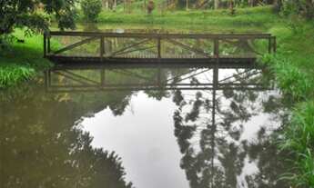 Imagem 7: Excelente sítio rico em água com nascente própria e ótimo acesso e localização à venda em