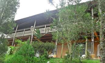 Imagem 3: Excelente sítio rico em água com nascente própria e ótimo acesso e localização à venda em