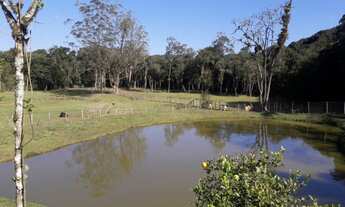 Imagem 2: Sitio completo, ótimo acesso e localização, ideal para criação de animais à venda em Juqui