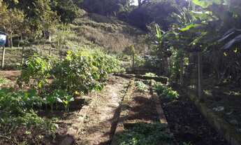 Imagem 7: Sitio completo, ótimo acesso e localização, ideal para criação de animais à venda em Juqui