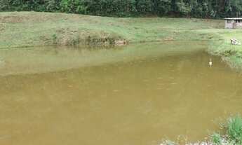 Imagem 7: FAZENDA À VENDA EM JUQUITIBA; Fazenda à venda em Juquitiba/SP; Fazenda com ótima localizaç