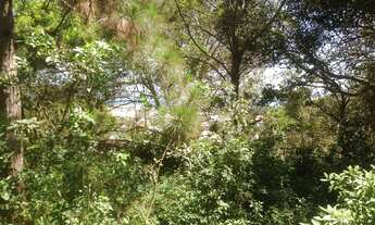Imagem 5: TERRENO RESIDENCIAL em GAROPABA - SC, Bairro Panorámico
