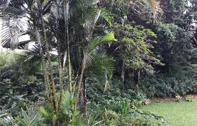 Imagem 5: TERRENO RESIDENCIAL em GAROPABA - SC, Praia da Ferrugem