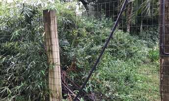 Imagem 7: TERRENO RESIDENCIAL em GAROPABA - SC, Praia da Ferrugem