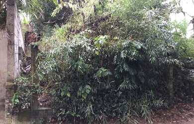 Imagem 4: TERRENO RESIDENCIAL em GAROPABA - SC, Praia da Ferrugem