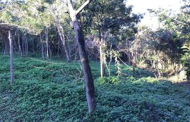 Imagem 3: TERRENO RESIDENCIAL em Garopaba - SC, Saco das cobras