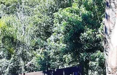 Imagem 4: CASA RESIDENCIAL em Garopaba - SC, Praia da Ferrugem