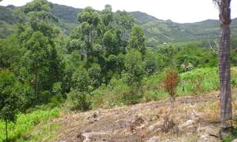 Imagem: AREA RESIDENCIAL em GAROPABA - SC, Macacu