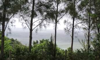 Imagem 2: TERRENO RESIDENCIAL em Garopaba - SC, PRAIA DA FERRUGEM