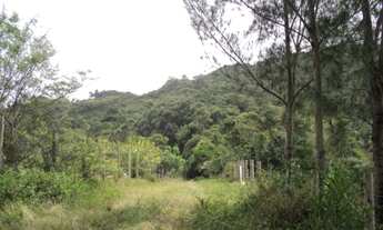 Imagem 5: TERRENO RESIDENCIAL em Garopaba - SC, PRAIA DA FERRUGEM