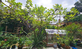Imagem 4: CASA RESIDENCIAL em OSASCO - SP, ADALGISA