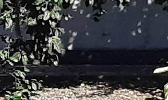 Imagem 4: Sobrado com Suíte, Churrasqueira e Salão de Festas em Guanabara, Joinville - SC