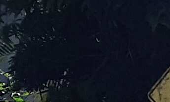 Imagem: Terreno Plano de 600m² em Guanabara, Joinville