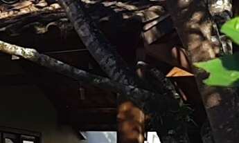 Imagem 2: Duas Casas em Terreno de 527m² em Parque Guarani, Joinville - Investimento Ideal