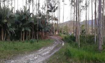 Imagem 4: Chácara à Venda em Garuva - SC. 124.000m², R$ 1.200.000,00