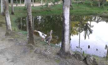 Imagem 7: Chácara à Venda em Garuva - SC. 124.000m², R$ 1.200.000,00