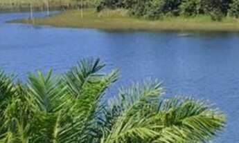 Imagem 2: Terreno de 5.000m² na Reserva Tucunaré em Arembepe!