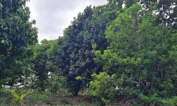 Imagem 6: Maravilhoso Sítio na Estiva de Arembepe com 40mil m² por R$450.000,00