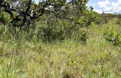 Imagem 3: SITIO RURAL em CAMAÇARI - BA, ÁREA RURAL DE CAMAÇARI