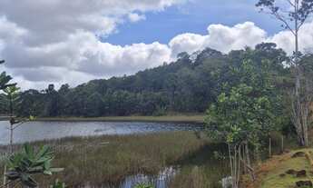 Imagem 5: TERRENO RURAL em CAMAÇARI - BA, AREMBEPE (ABRANTES